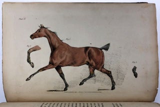 [Alken, Henry] The Beauties and Defects in the Figure of the Horse...