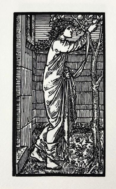 Item #4483 [Burne-Jones, Edward- Clover Hill Portfolio] The Story of Cupid and Psyche. William Morris.