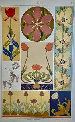 [Jugendstil- Stunning Color Lithography] Pflanzen Ornamente ("Plants Ornamental")
