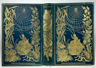 [Binding, Publisher's- Three Decker, Stunning Covers] Episodes of Insect Life