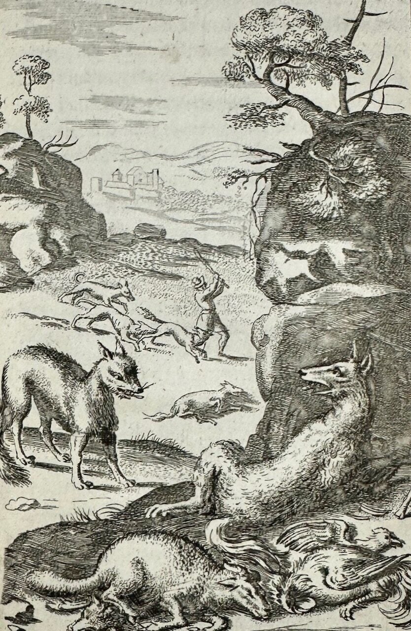 Aesop's Fables- First Edition Ogilby Translation, 1651 The Fables of ...